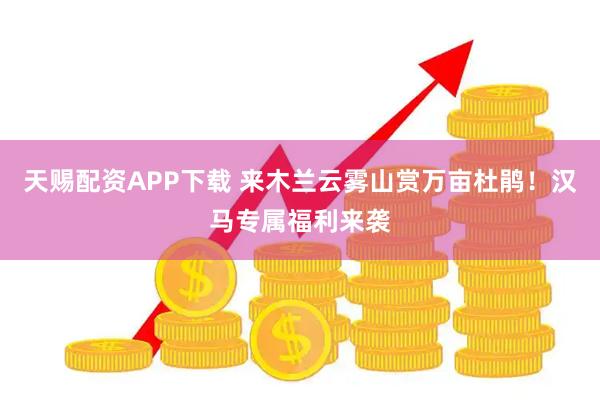 天赐配资APP下载 来木兰云雾山赏万亩杜鹃！汉马专属福利来袭
