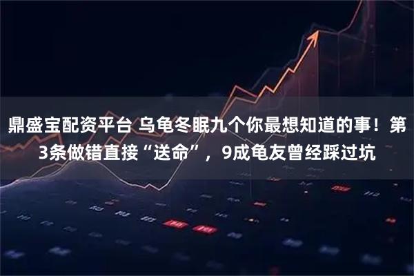 鼎盛宝配资平台 乌龟冬眠九个你最想知道的事！第3条做错直接“送命”，9成龟友曾经踩过坑