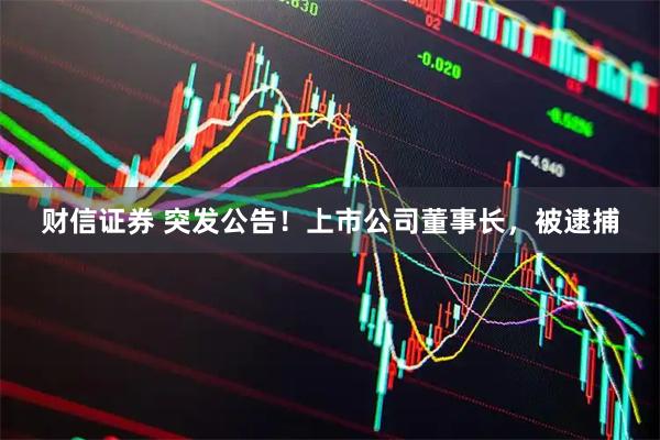 财信证券 突发公告！上市公司董事长，被逮捕