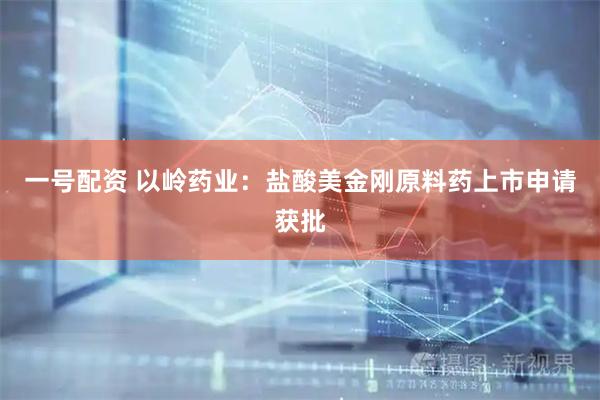 一号配资 以岭药业：盐酸美金刚原料药上市申请获批