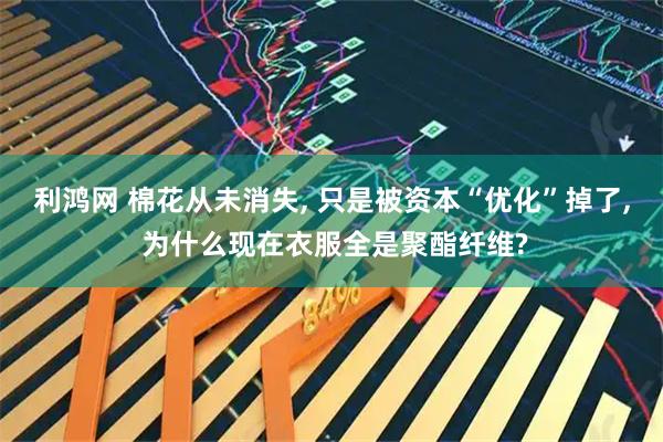利鸿网 棉花从未消失, 只是被资本“优化”掉了, 为什么现在衣服全是聚酯纤维?