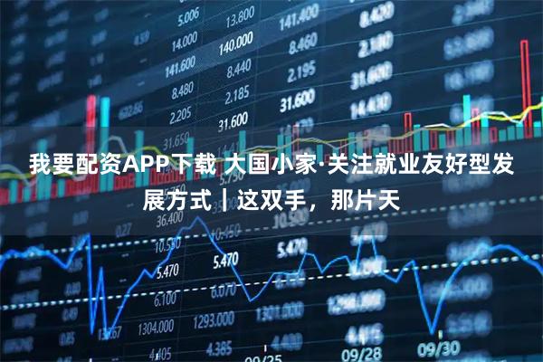 我要配资APP下载 大国小家·关注就业友好型发展方式｜这双手，那片天