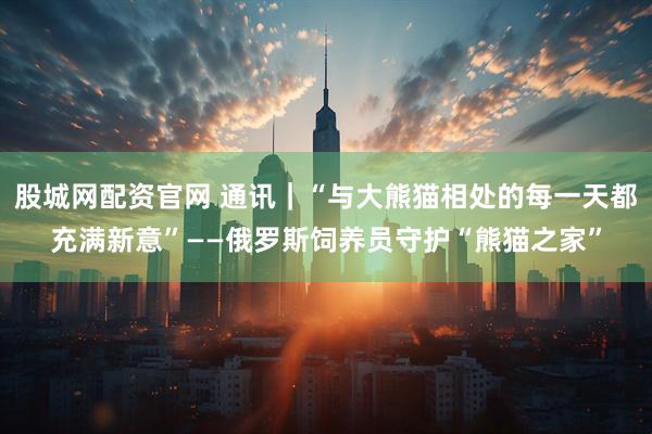 股城网配资官网 通讯｜“与大熊猫相处的每一天都充满新意”——俄罗斯饲养员守护“熊猫之家”