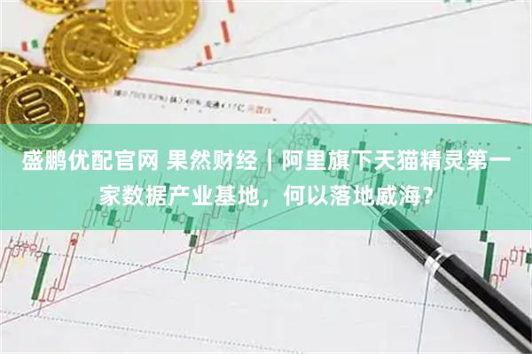 盛鹏优配官网 果然财经｜阿里旗下天猫精灵第一家数据产业基地，何以落地威海？